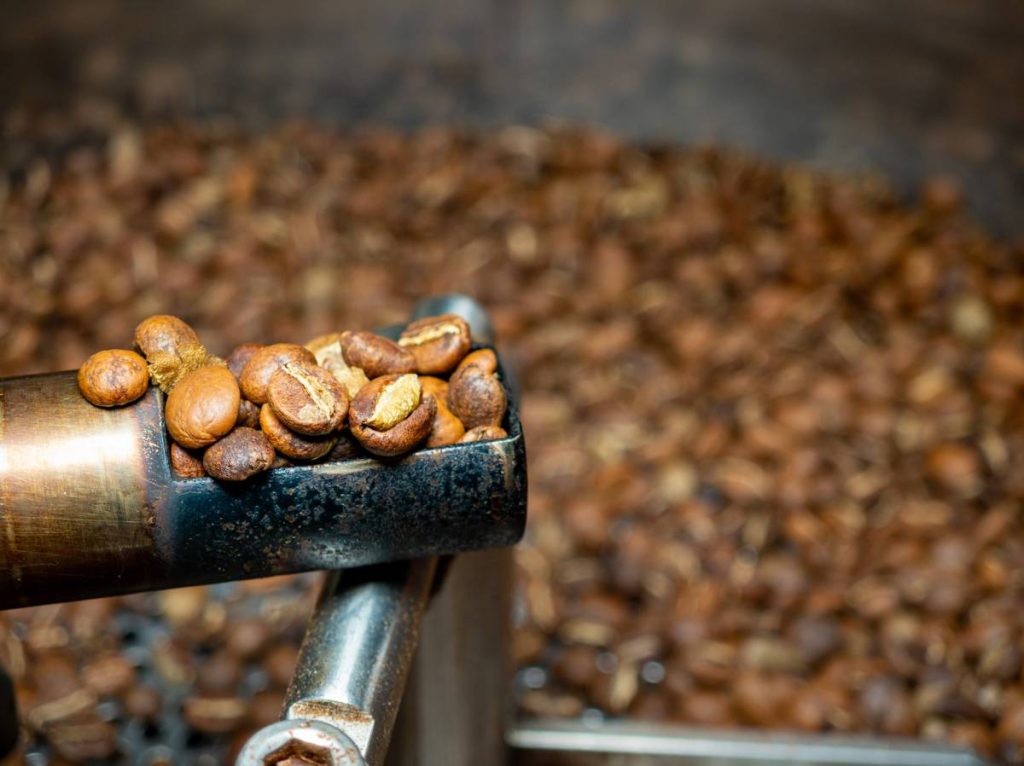 café torréfié guide sensoriel