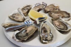 Cuisson des Huîtres : astuces et méthodes essentielles