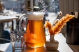 dégustation bière lyon